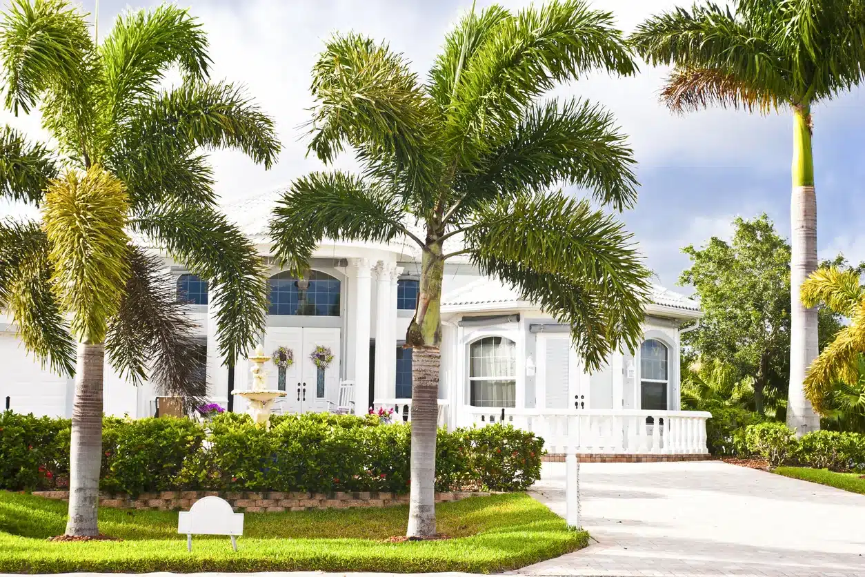 An exterior view of a house with hurricane windows in the Gulf Stream with palm trees in Florida.