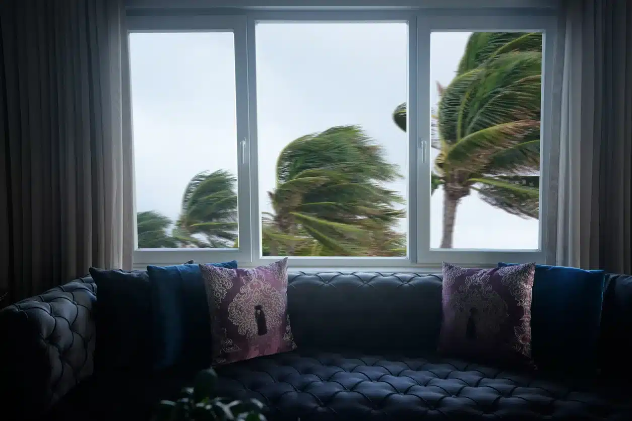 Hurricane windows - View of swaying palm trees caused by a hurricane from a residential window.